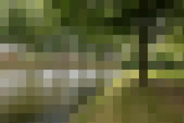 Maliebaan 20 Groenlo thumbnail 75