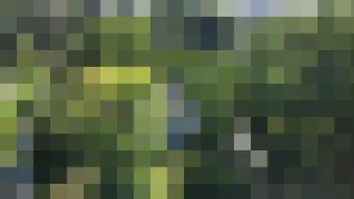 Maliebaan 20 Groenlo thumbnail 76