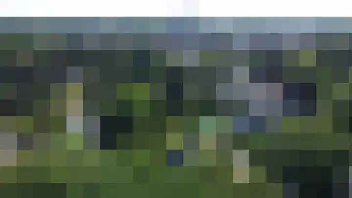 Maliebaan 20 Groenlo thumbnail 77