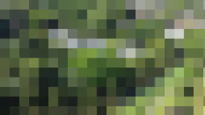 Maliebaan 20 Groenlo thumbnail 78