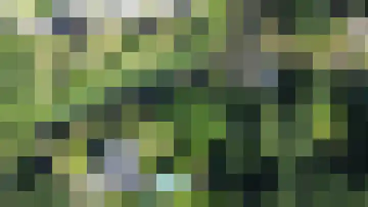 Maliebaan 20 Groenlo thumbnail 80
