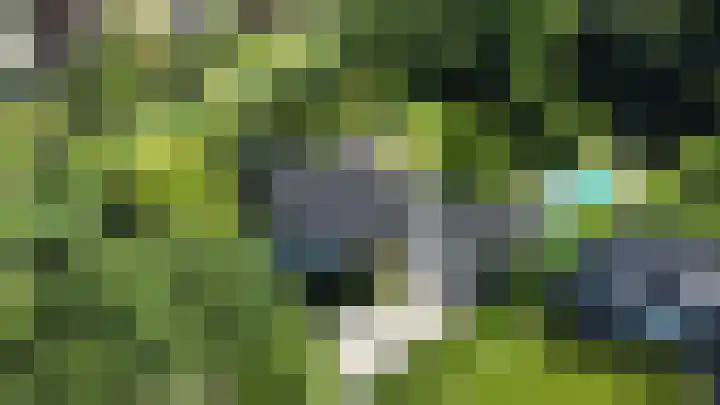 Maliebaan 20 Groenlo thumbnail 81