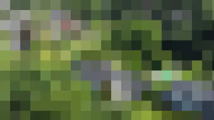 Maliebaan 20 Groenlo thumbnail 82