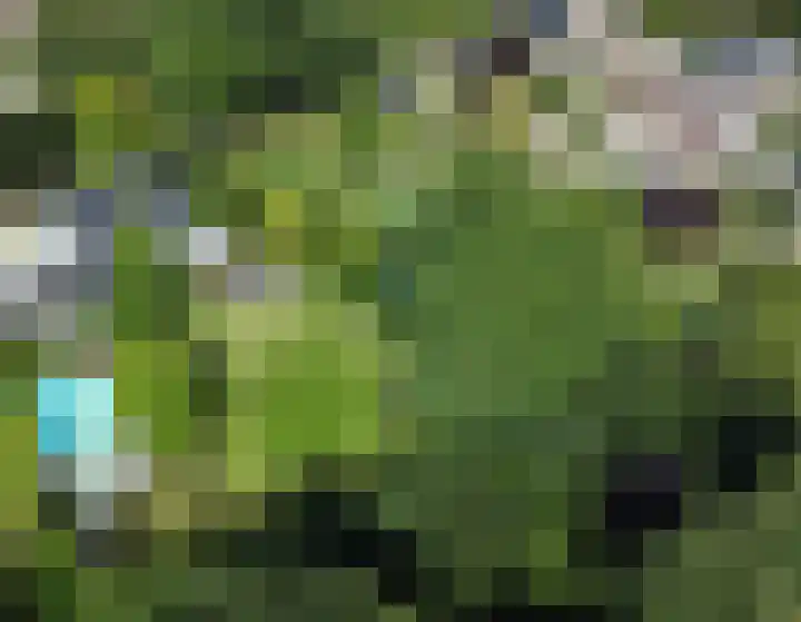 Maliebaan 20 Groenlo thumbnail 84