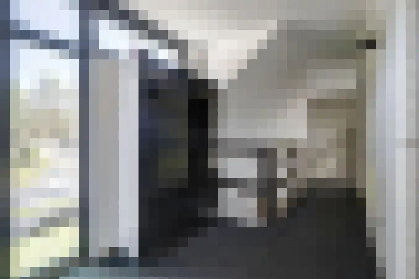 Maliebaan 25 Arcen thumbnail 16