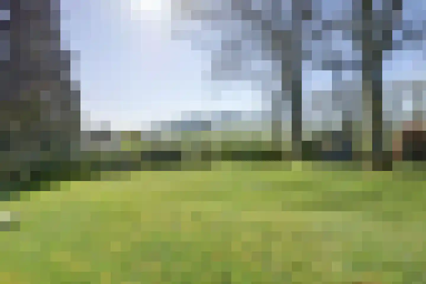 Maliebaan 25 Arcen thumbnail 26