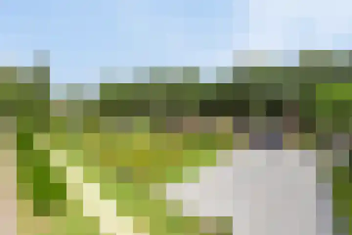Maliebaan 4 in Arcen