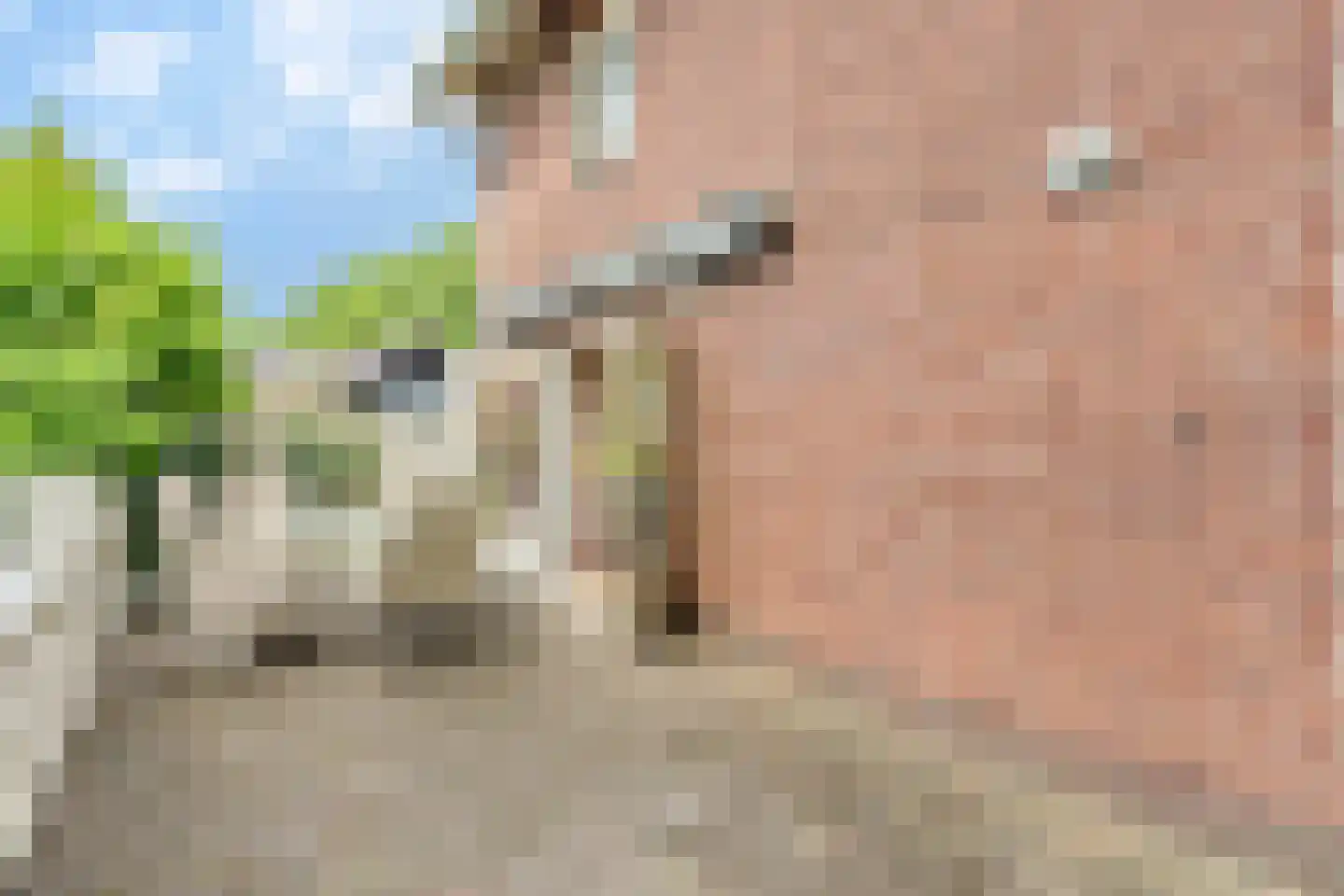 Maliebaan 41 Arcen thumbnail 12