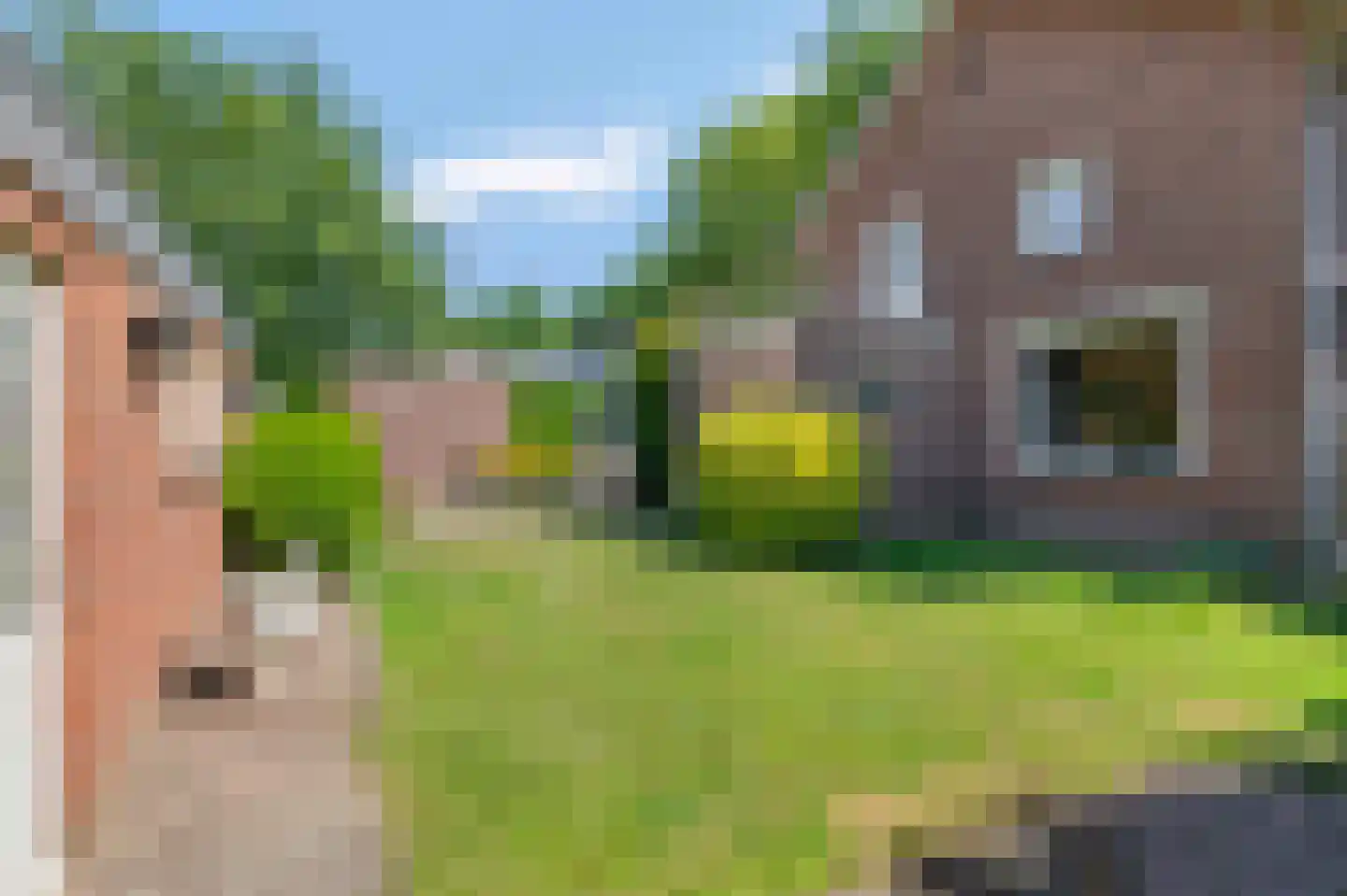 Maliebaan 41 Arcen thumbnail 18