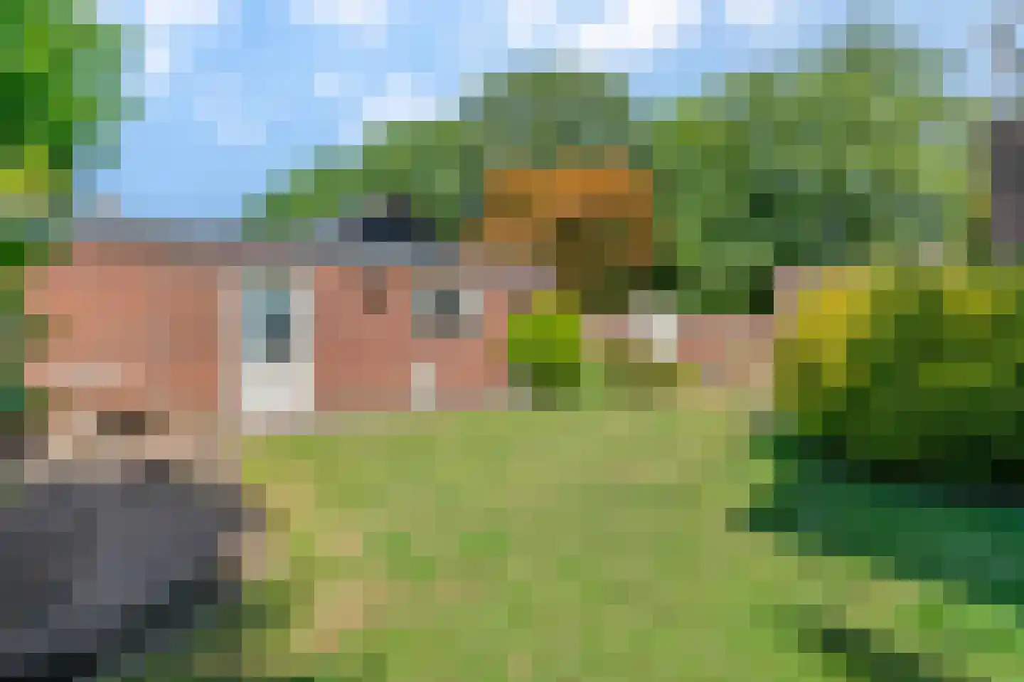 Maliebaan 41 Arcen thumbnail 19