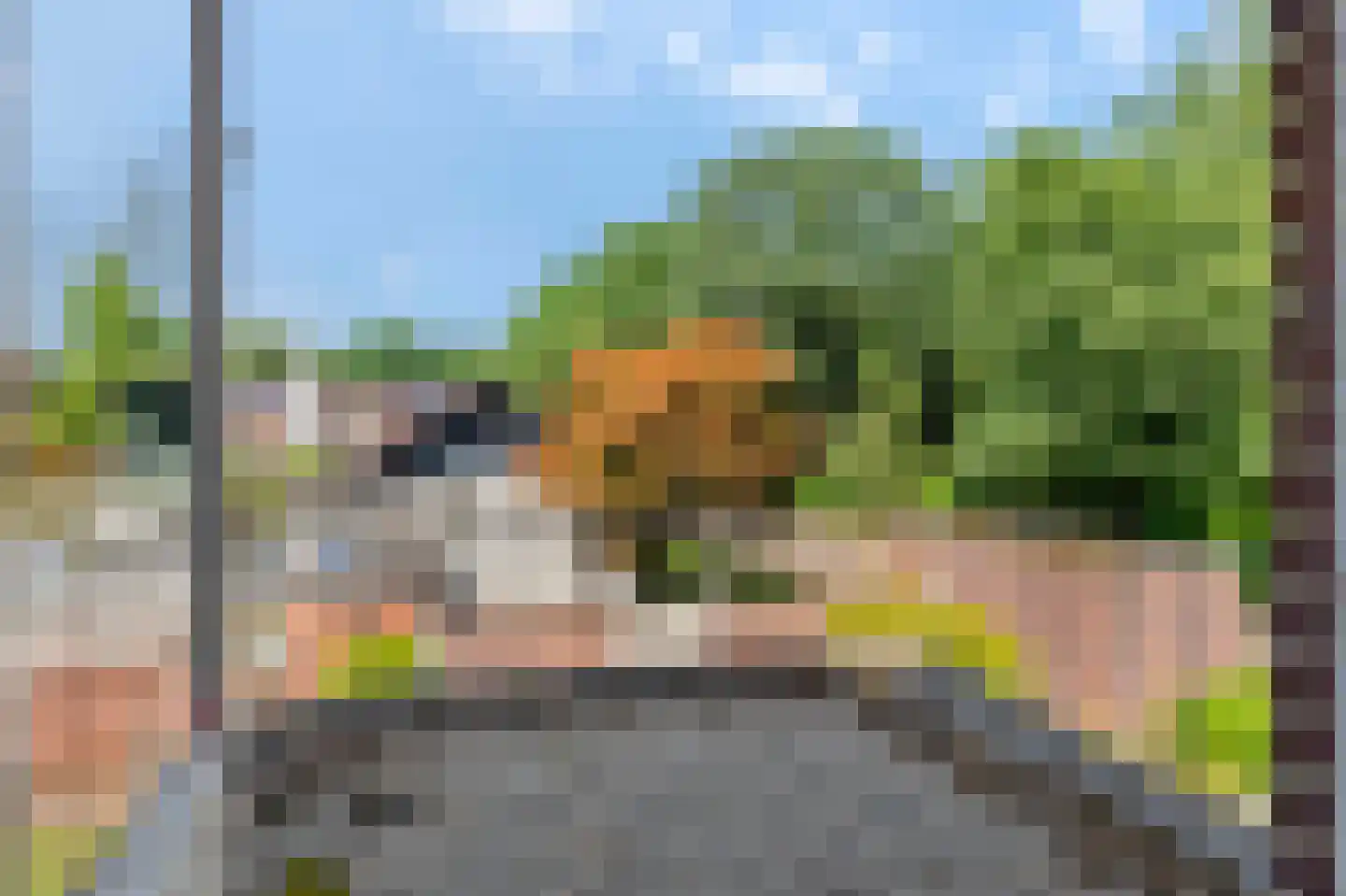Maliebaan 41 Arcen thumbnail 32