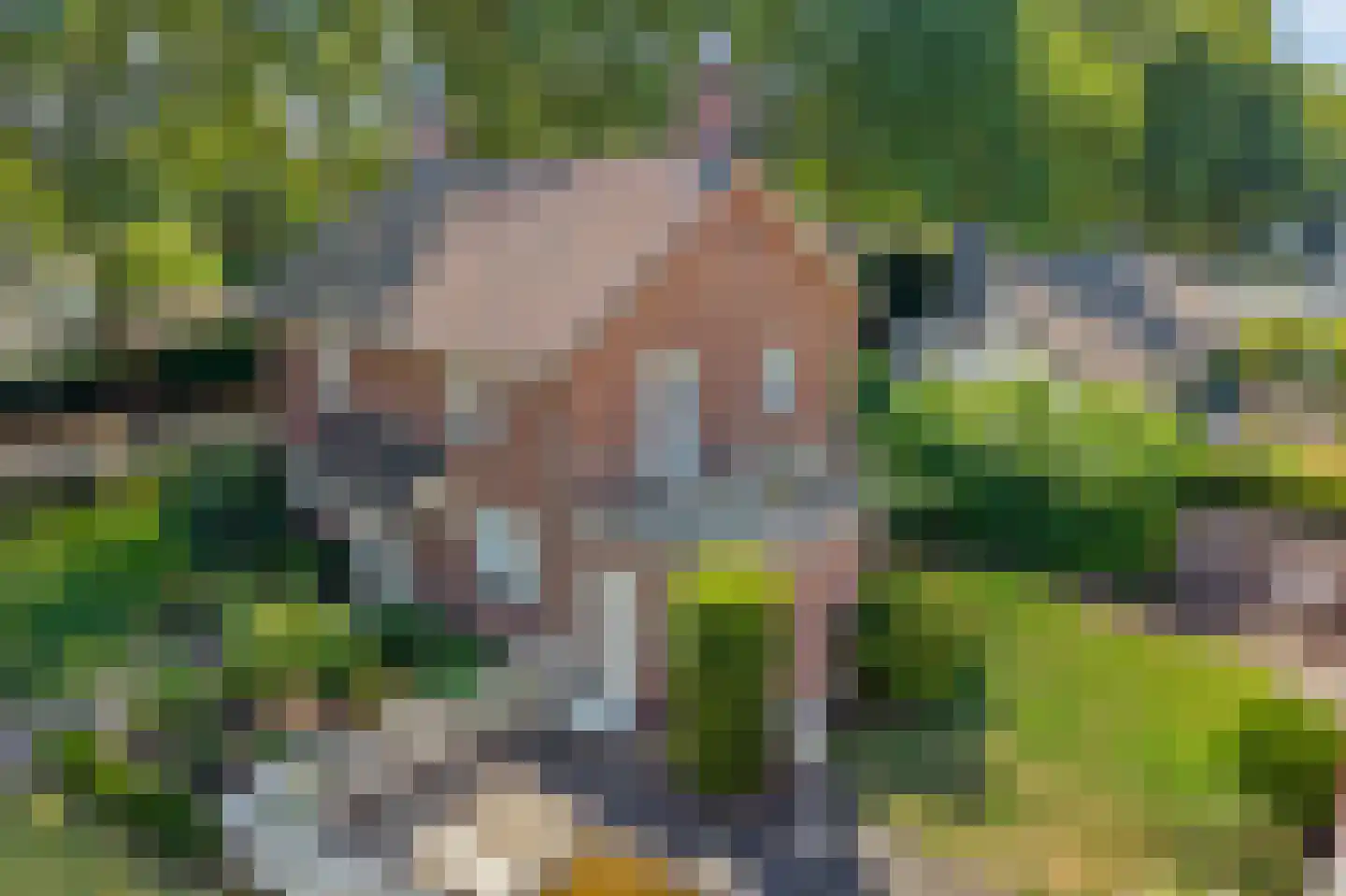 Maliebaan 41 Arcen thumbnail 37