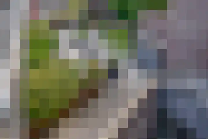 Maliebaan 53 B Utrecht thumbnail 12