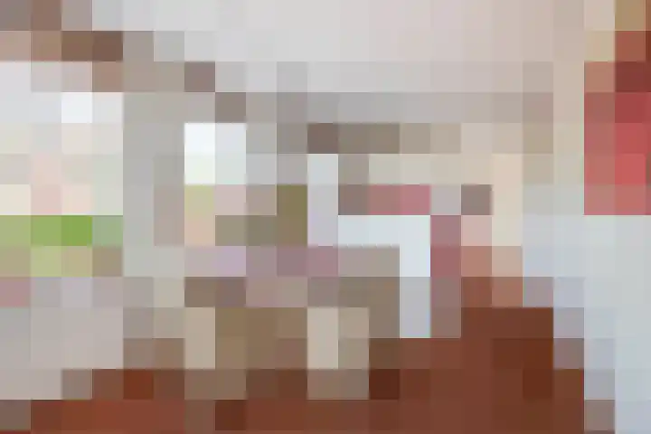 Maliebaan 53 B Utrecht thumbnail 20