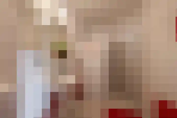 Maliebaan 53 B Utrecht thumbnail 28