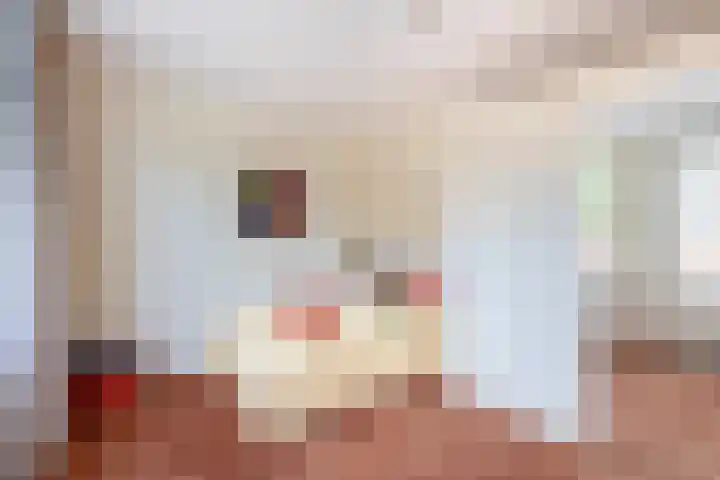 Maliebaan 53 B Utrecht thumbnail 32