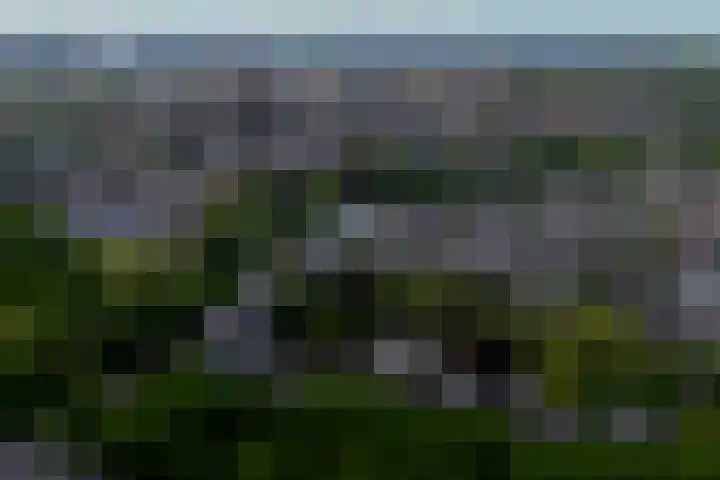 Maliebaan 53 B Utrecht thumbnail 42