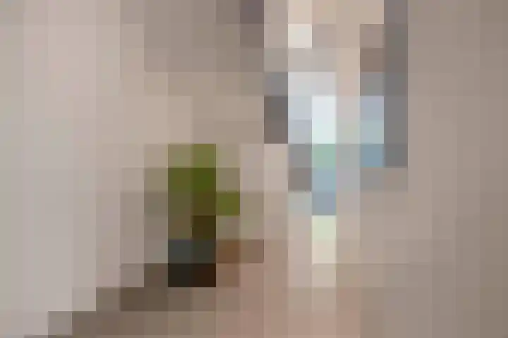 Maliebaan 53 B Utrecht thumbnail 8