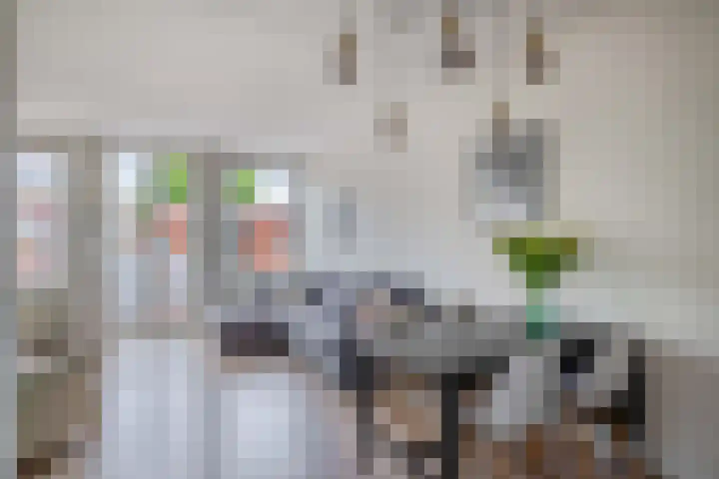 Maliebaan 53 C Utrecht thumbnail 15