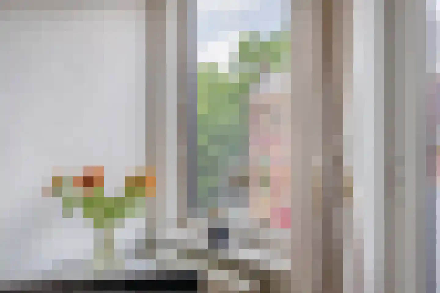 Maliebaan 53 C Utrecht thumbnail 20