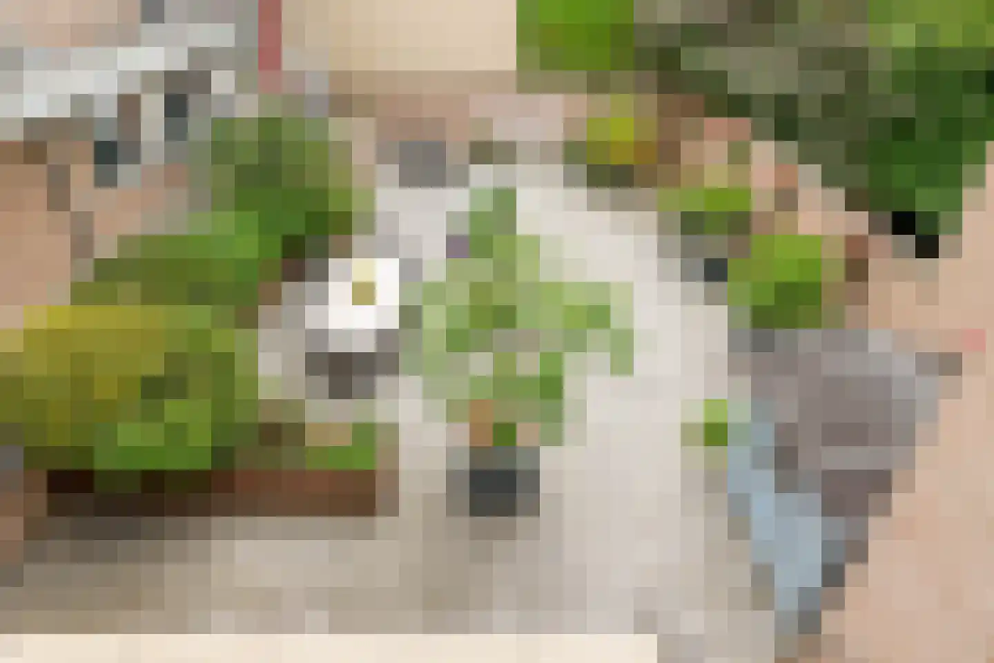 Maliebaan 53 C Utrecht thumbnail 30