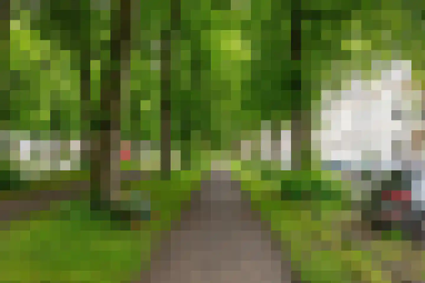 Maliebaan 53 C Utrecht thumbnail 37