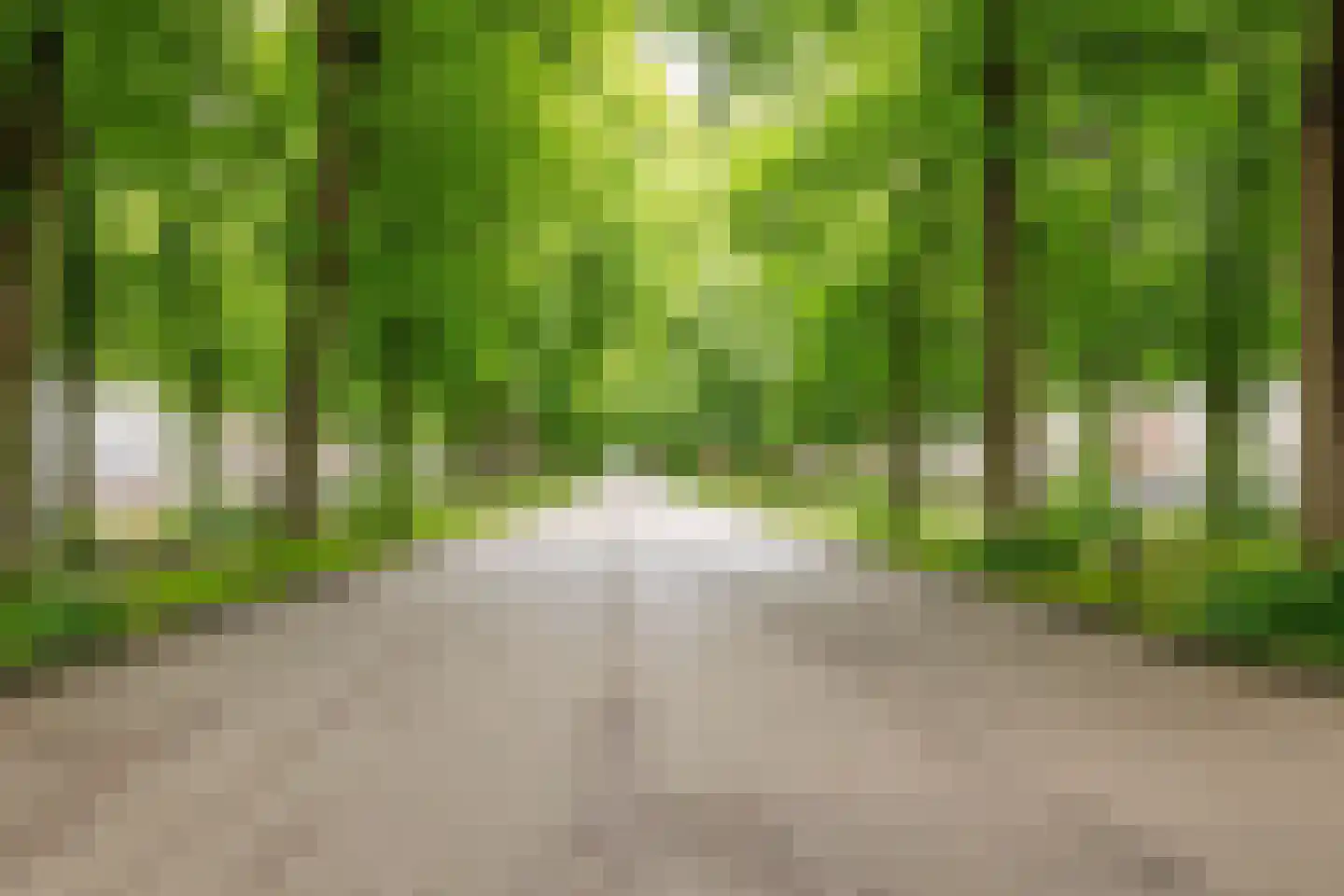 Maliebaan 53 C Utrecht thumbnail 38