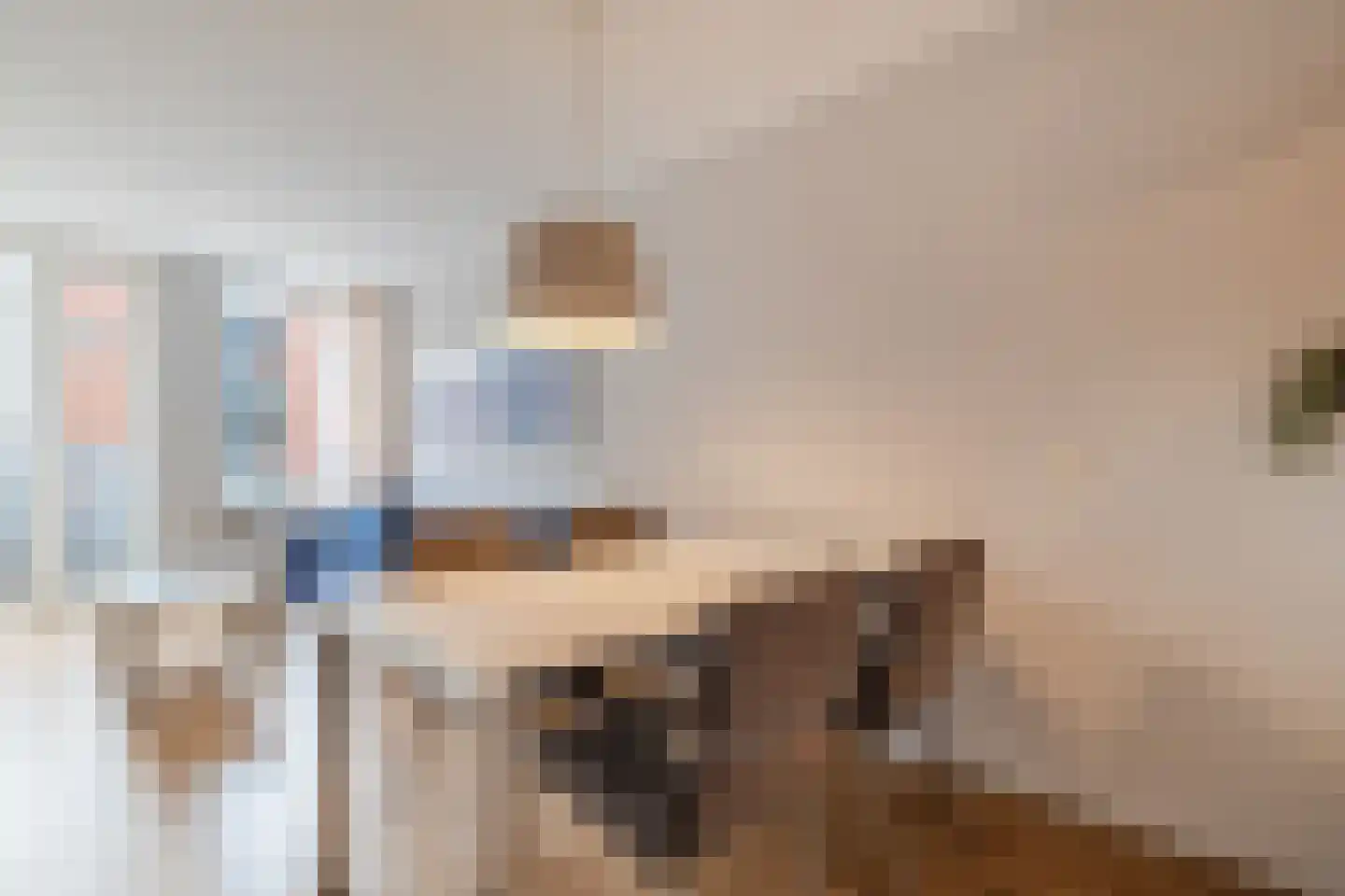 Maliebaan 53 E Utrecht thumbnail 12