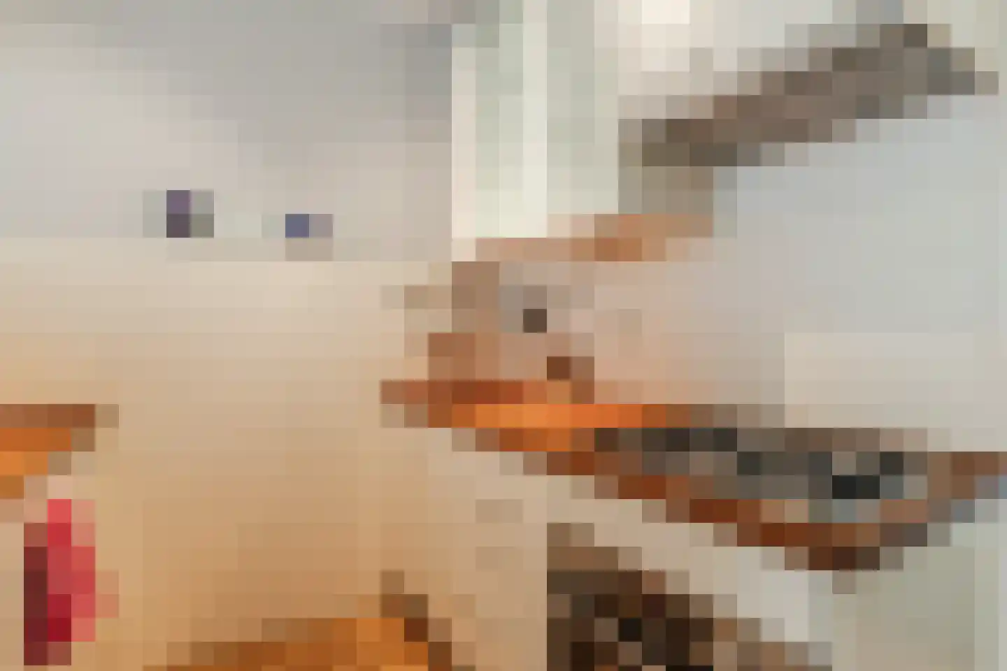 Maliebaan 53 E Utrecht thumbnail 23