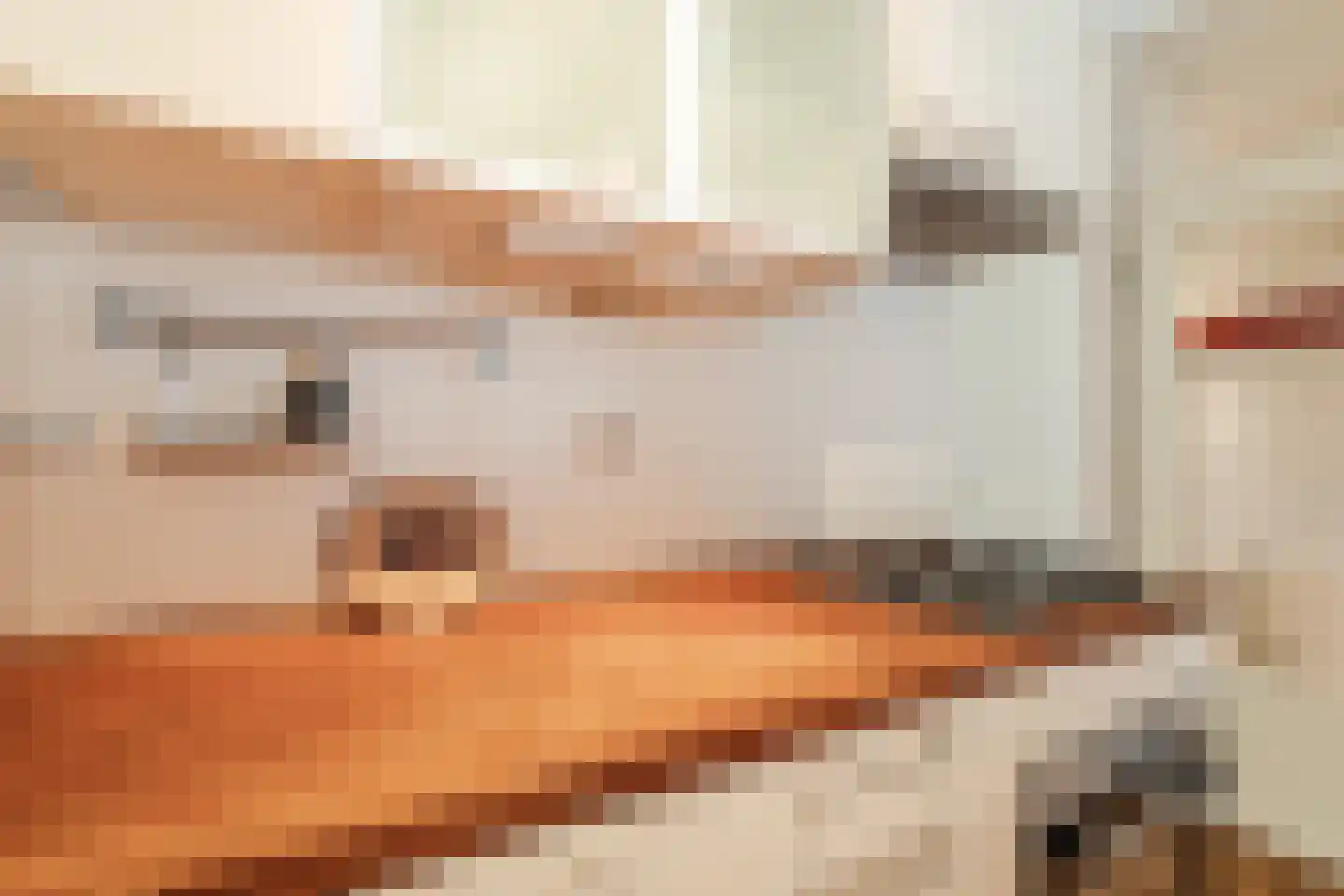 Maliebaan 53 E Utrecht thumbnail 25