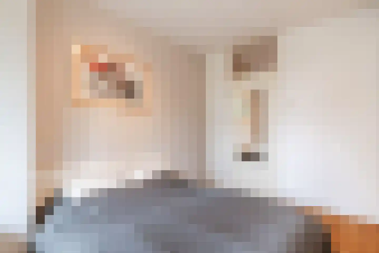 Maliebaan 53 E Utrecht thumbnail 28
