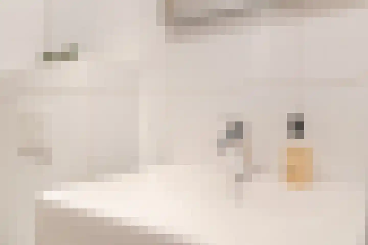 Maliebaan 53 E Utrecht thumbnail 30