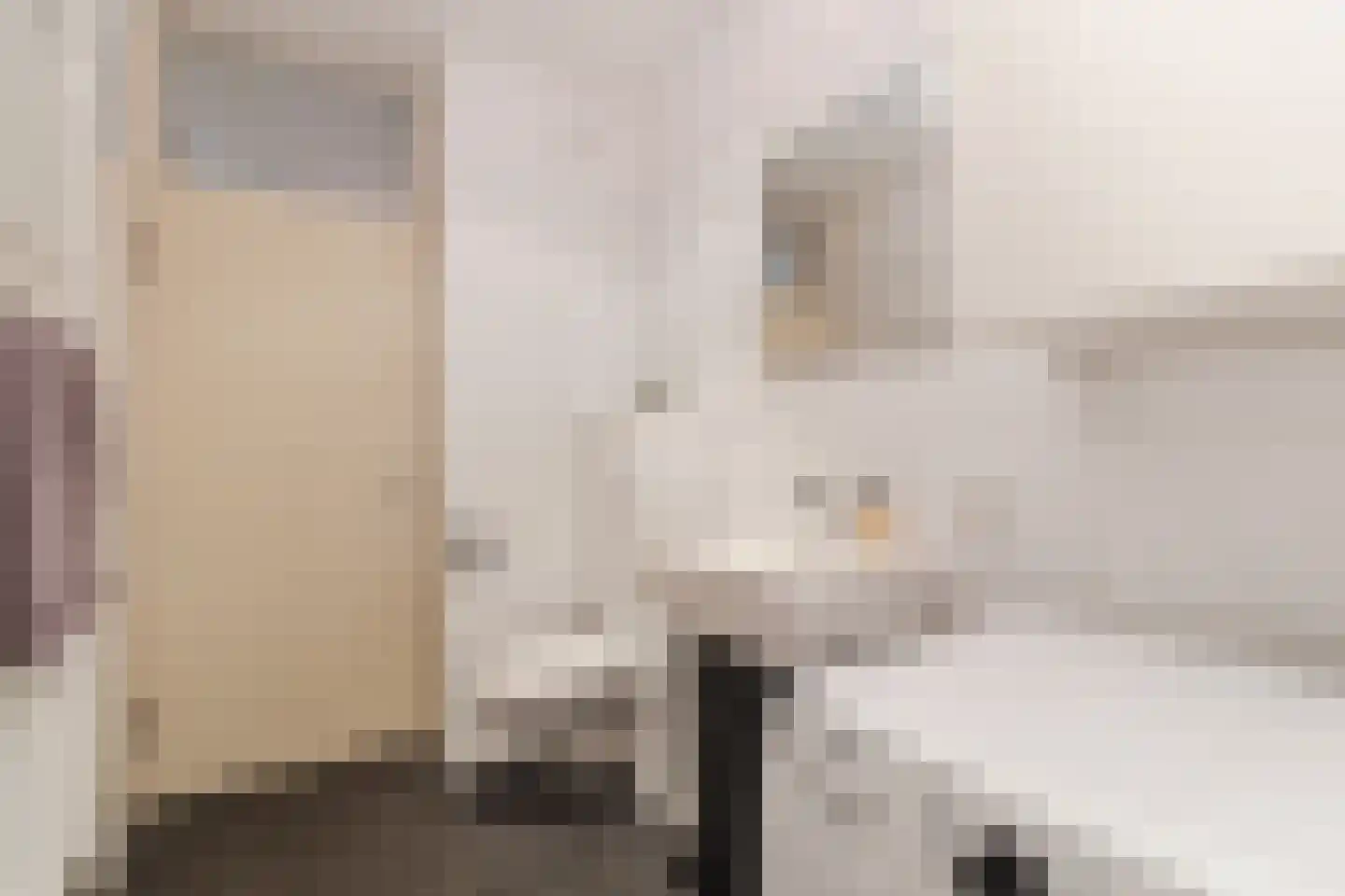 Maliebaan 53 E Utrecht thumbnail 32
