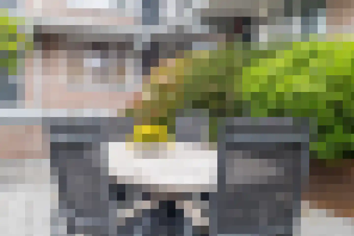 Maliebaan 53 E Utrecht thumbnail 37