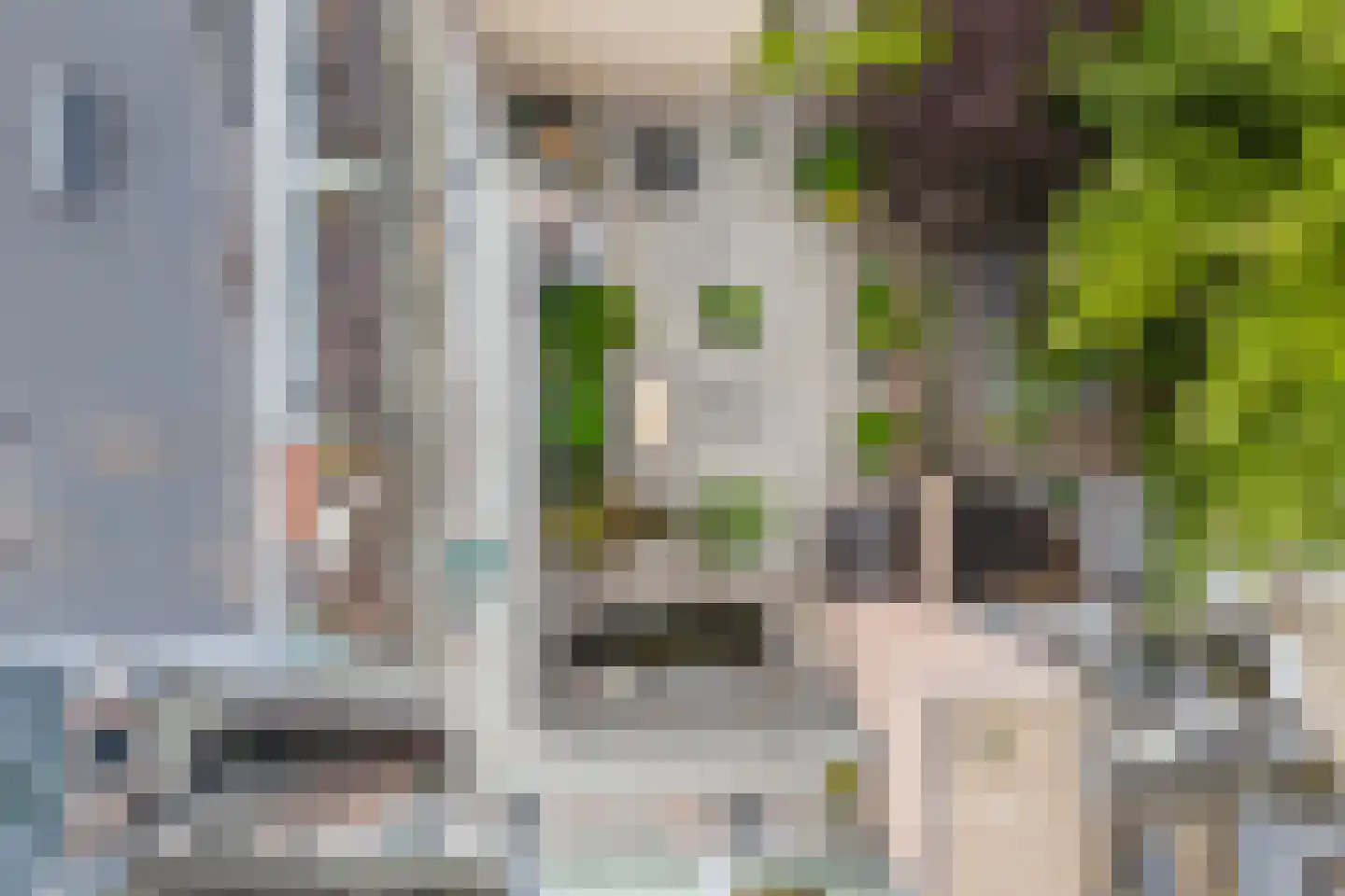 Maliebaan 53 E Utrecht thumbnail 43