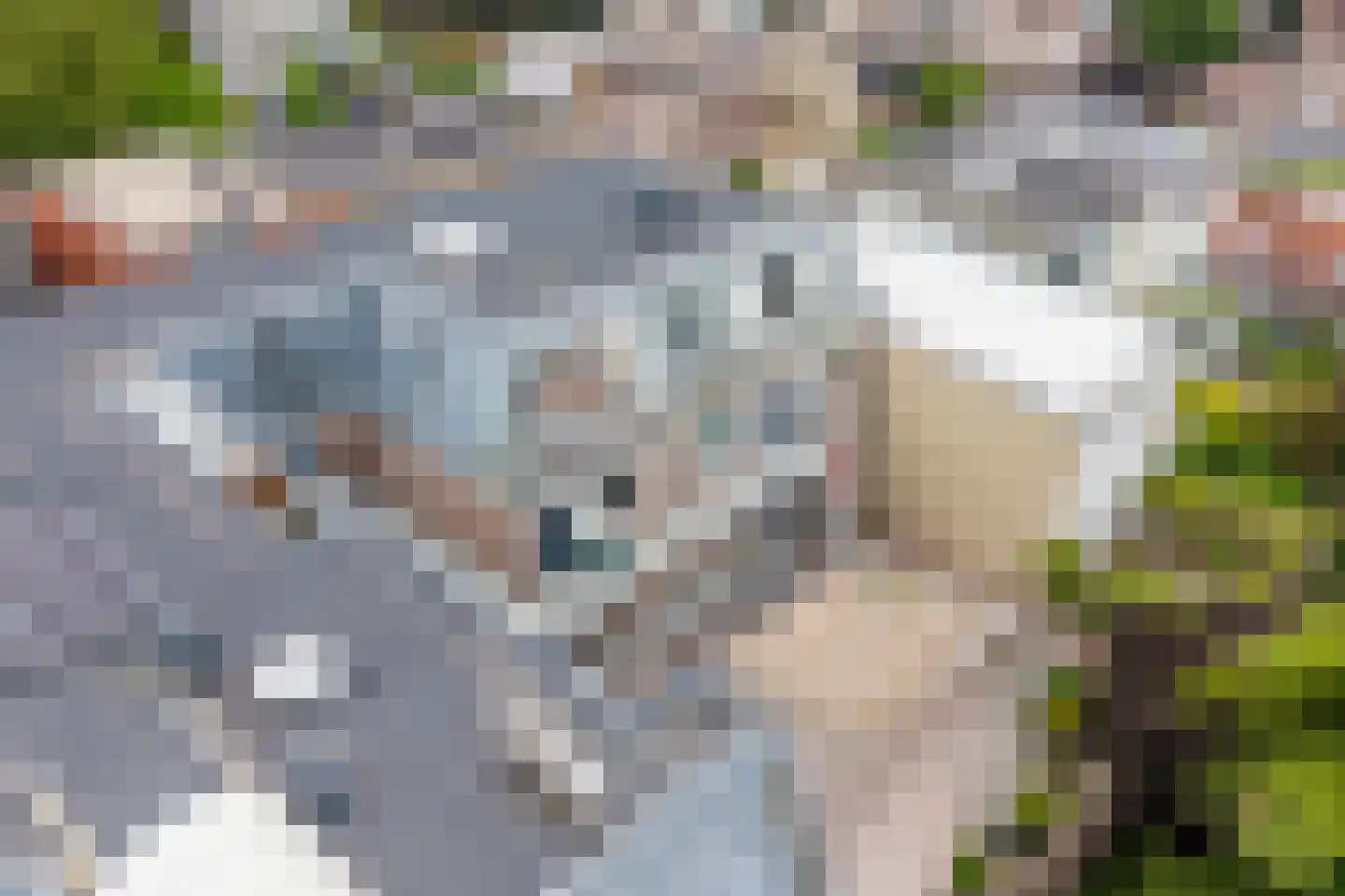 Maliebaan 53 E Utrecht thumbnail 44