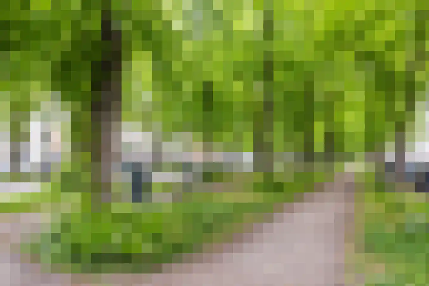 Maliebaan 53 E Utrecht thumbnail 58