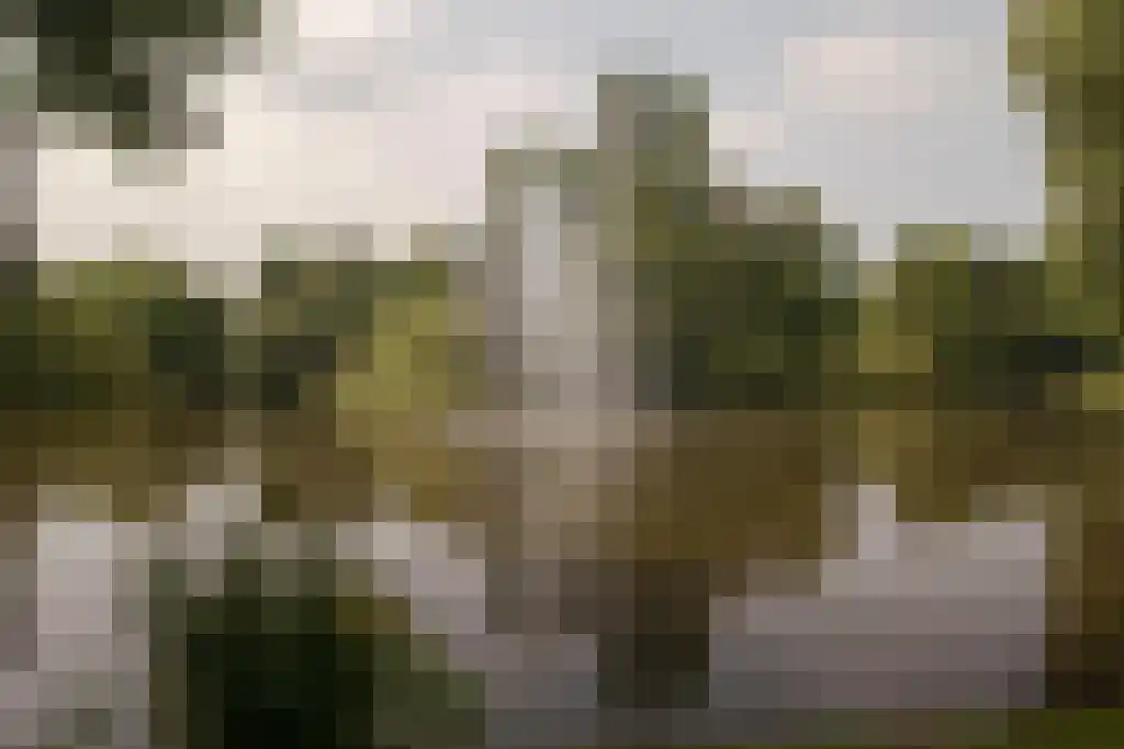 Maliebaan 53 E Utrecht thumbnail 60