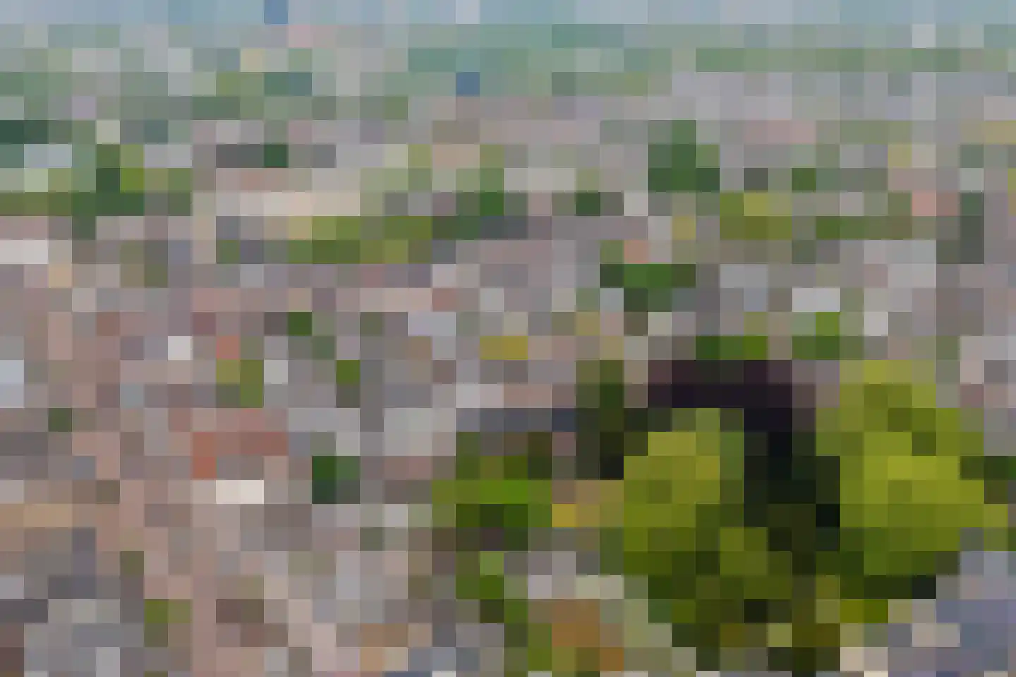 Maliebaan 53 E Utrecht thumbnail 63