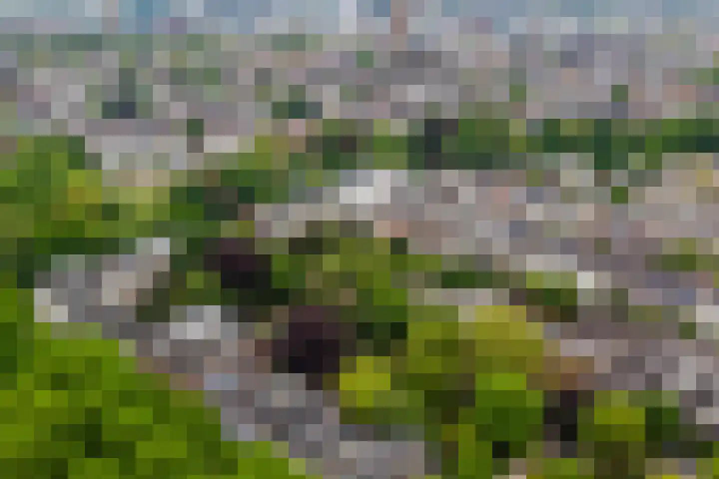 Maliebaan 53 E Utrecht thumbnail 64