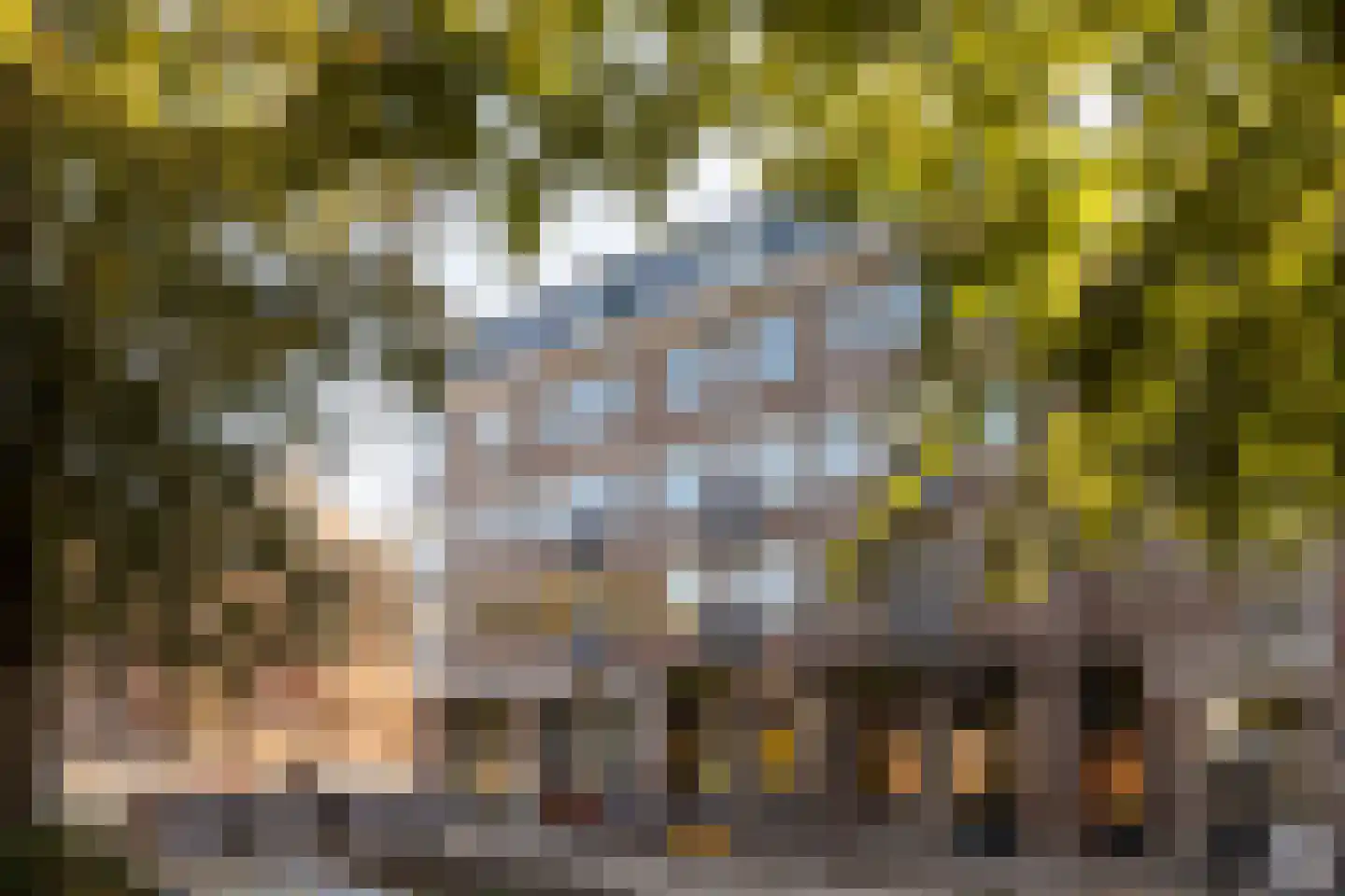 Maliebaan 53 H Utrecht thumbnail 27
