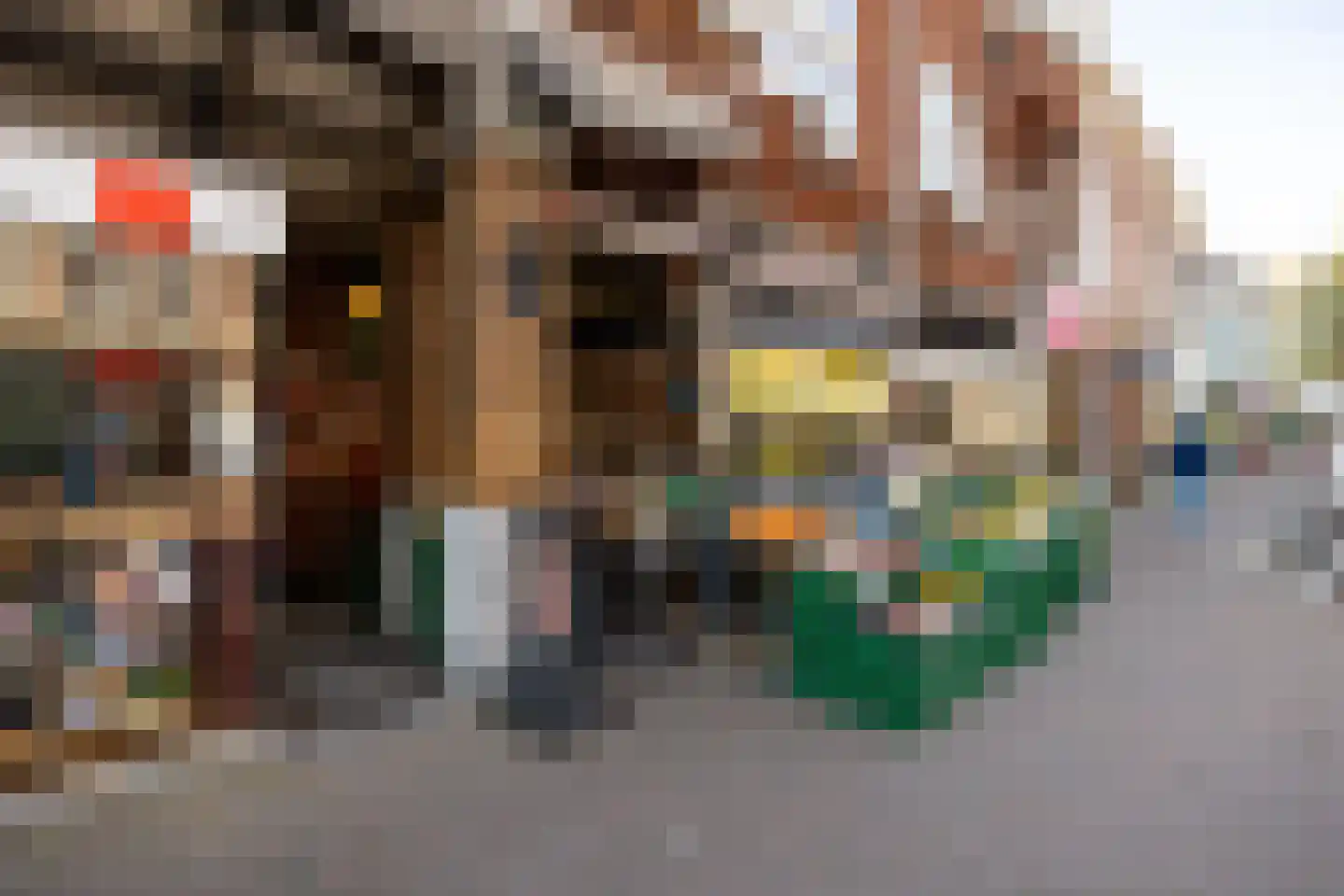 Maliebaan 53 H Utrecht thumbnail 28
