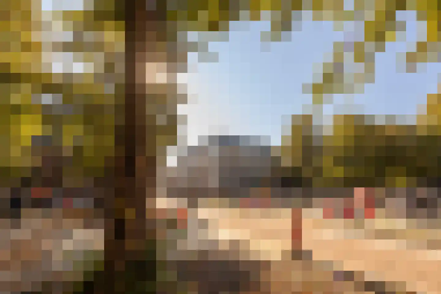 Maliebaan 53 H Utrecht thumbnail 30