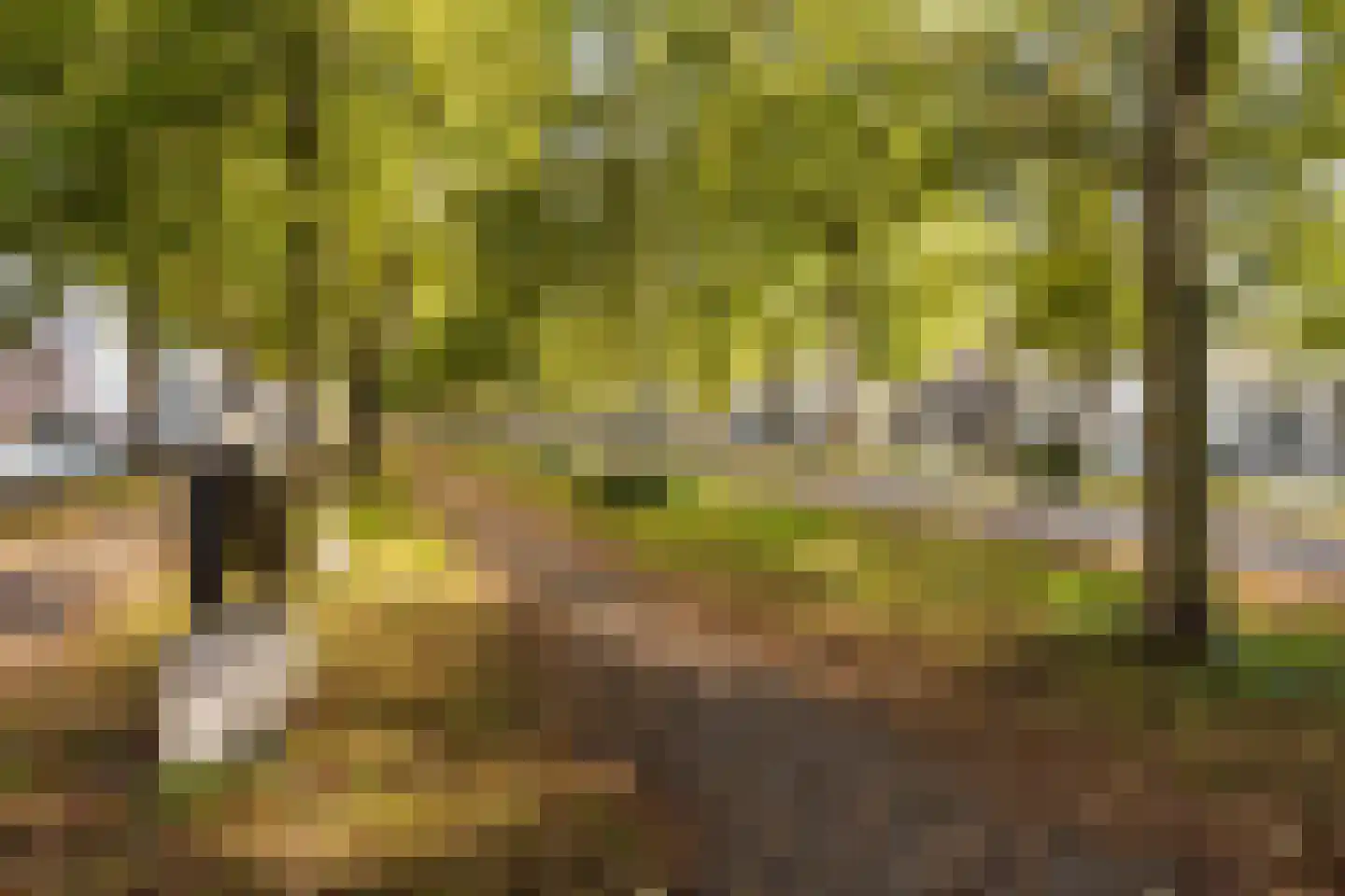Maliebaan 53 H Utrecht thumbnail 31
