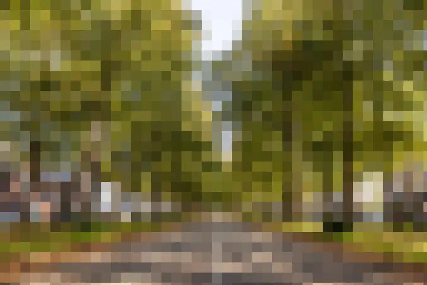 Maliebaan 53 H Utrecht thumbnail 32
