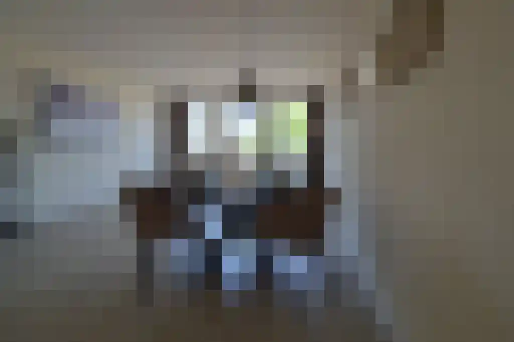 Maliebaan 53 X Utrecht thumbnail 4