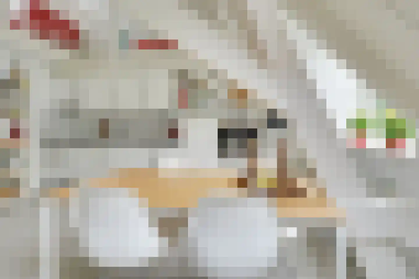 Maliebaan 73 D Utrecht thumbnail 10