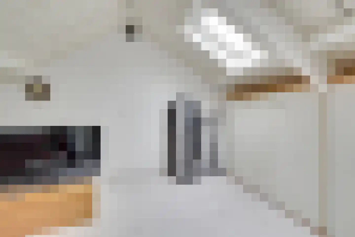 Maliebaan 73 D Utrecht thumbnail 16