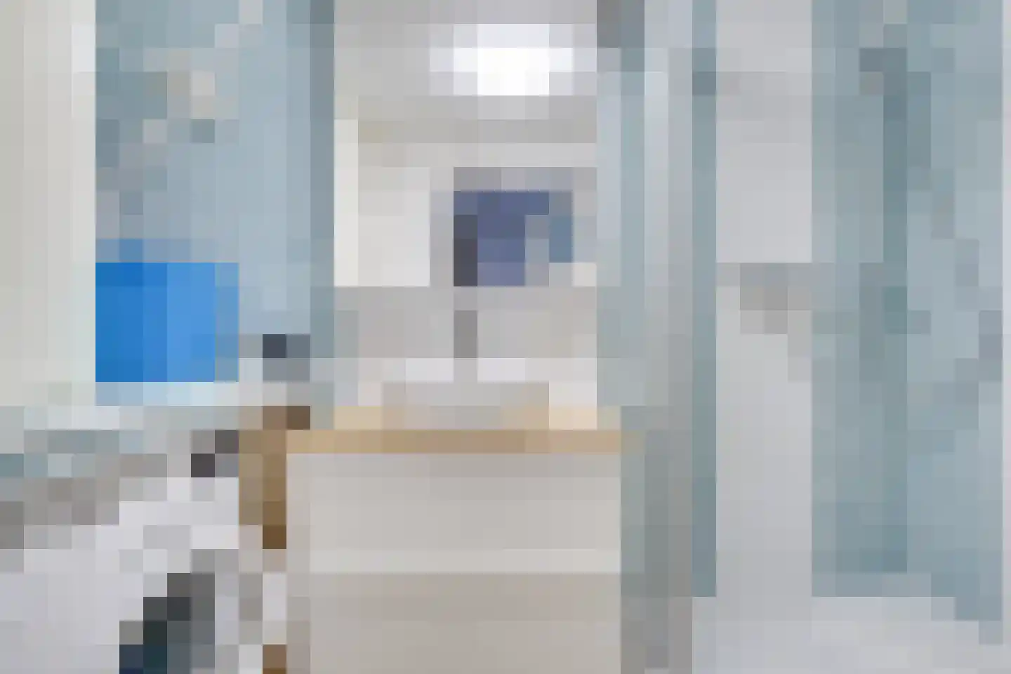 Maliebaan 73 D Utrecht thumbnail 20