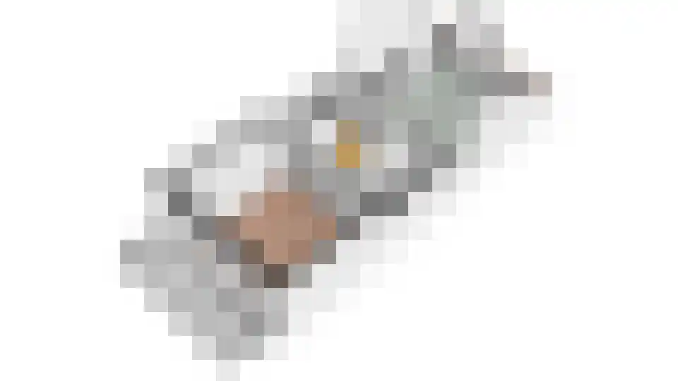 Maliebaan 73 D Utrecht thumbnail 36